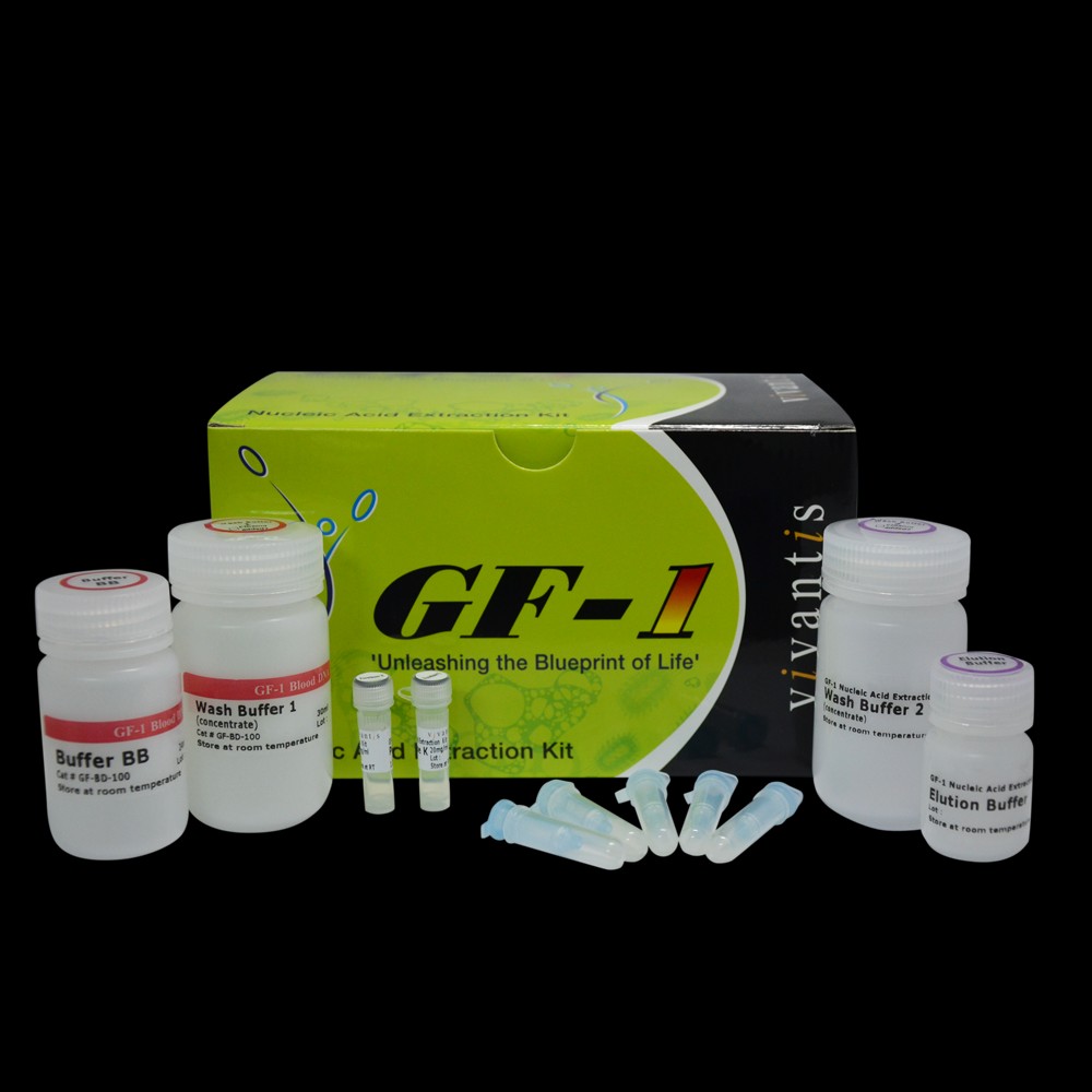 GF-1 nucleic acid purification